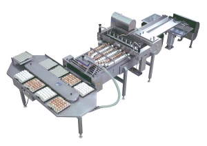 CEM 216 egg breaking machine4