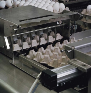 OPTIONS FOR EGG BREAKING MACHINES AND LOADING SYSTEMS