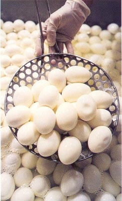 HARD-BOILED & PEELED EGGS