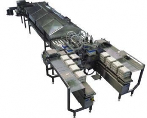 Full length (4500mm) for egg breaking machines CEM216 and CEM432